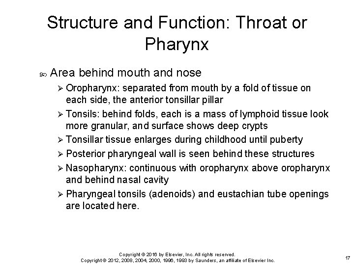 Structure and Function: Throat or Pharynx Area behind mouth and nose Ø Oropharynx: separated