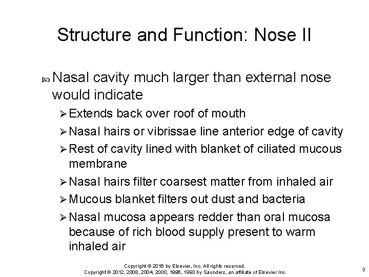Structure and Function: Nose II Nasal cavity much larger than external nose would indicate