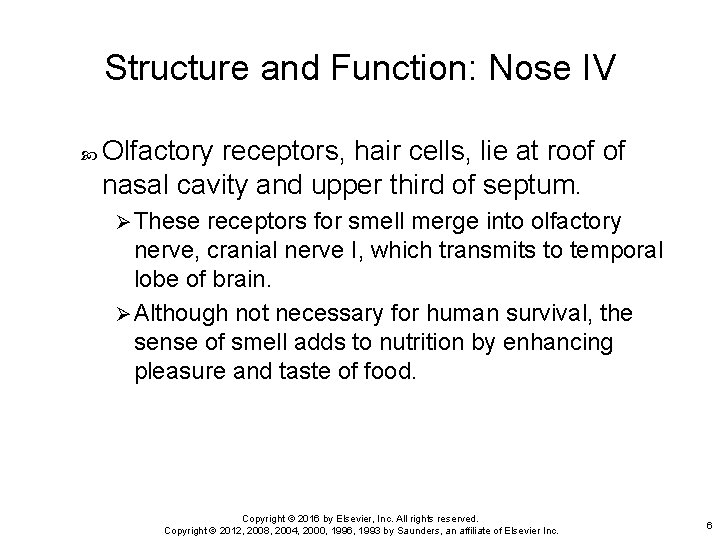 Structure and Function: Nose IV Olfactory receptors, hair cells, lie at roof of nasal