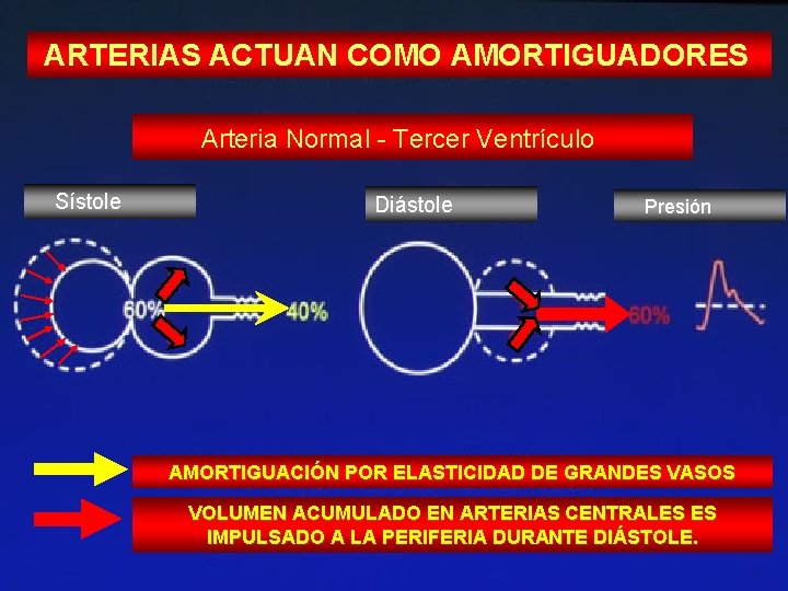 ARTERIAS ACTUAN COMO AMORTIGUADORES Arteria Normal - Tercer Ventrículo Sístole Diástole Presión AMORTIGUACIÓN POR
