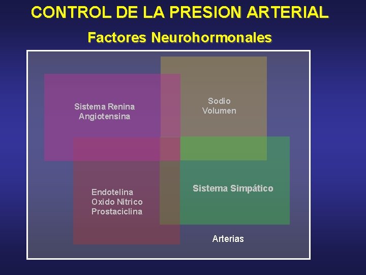 CONTROL DE LA PRESION ARTERIAL Factores Neurohormonales Sistema Renina Angiotensina Endotelina Oxido Nitrico Prostaciclina