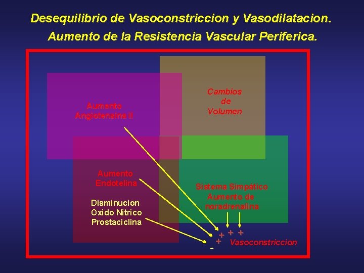 Desequilibrio de Vasoconstriccion y Vasodilatacion. Aumento de la Resistencia Vascular Periferica. Aumento Angiotensina II