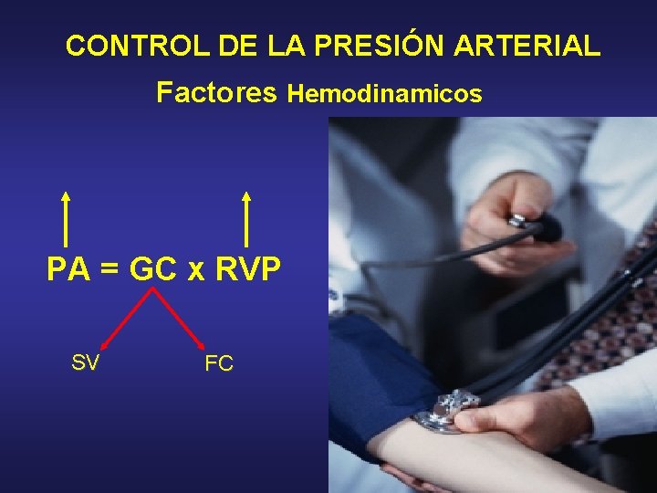 CONTROL DE LA PRESIÓN ARTERIAL Factores Hemodinamicos PA = GC x RVP SV FC