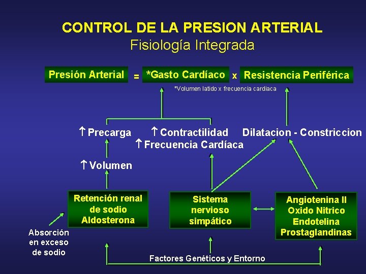 CONTROL DE LA PRESION ARTERIAL Fisiología Integrada Presión Arterial = *Gasto Cardíaco x Resistencia