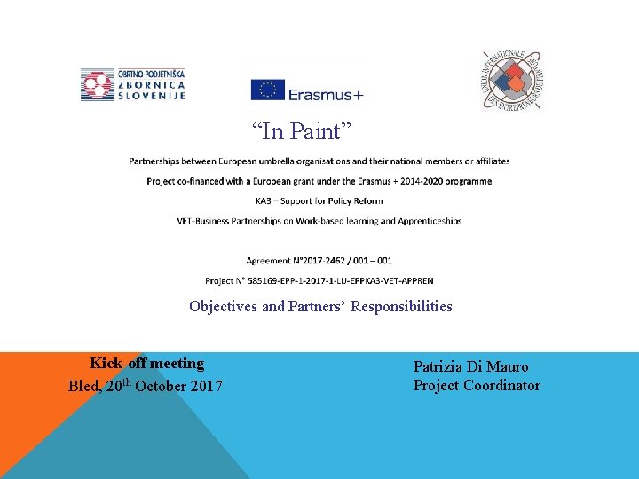 “In Paint” Objectives and Partners’ Responsibilities Kick-off meeting Bled, 20 th October 2017 Patrizia