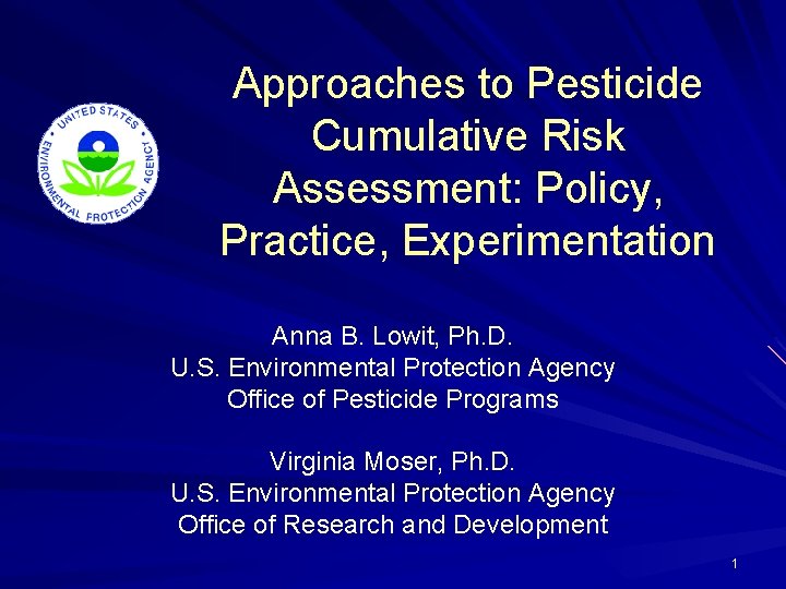 Approaches to Pesticide Cumulative Risk Assessment: Policy, Practice, Experimentation Anna B. Lowit, Ph. D.