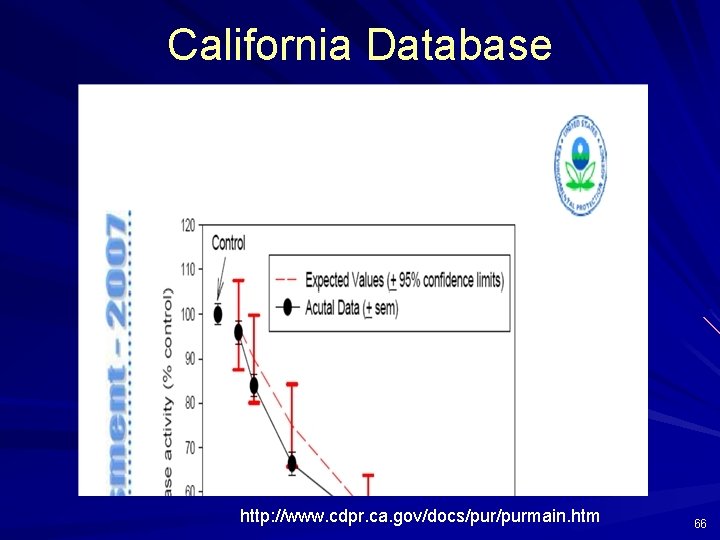 California Database http: //www. cdpr. ca. gov/docs/purmain. htm 66 