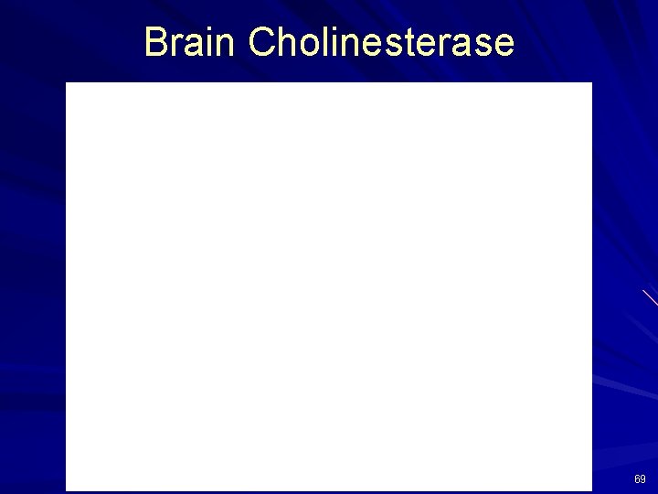 Brain Cholinesterase 69 
