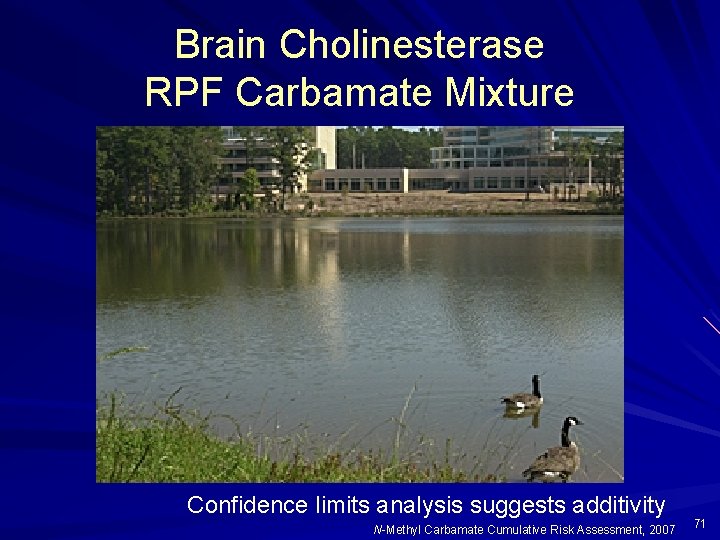 Brain Cholinesterase RPF Carbamate Mixture Confidence limits analysis suggests additivity N-Methyl Carbamate Cumulative Risk