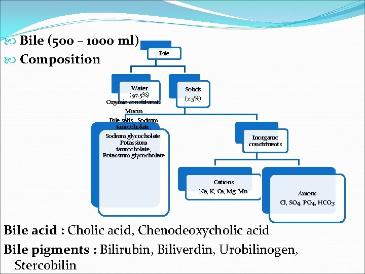  Bile (500 – 1000 ml) Composition Bile Water (97. 5%) Organic constituents Mucin