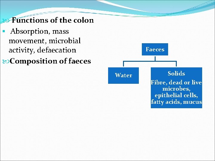  Functions of the colon § Absorption, mass movement, microbial activity, defaecation Composition of