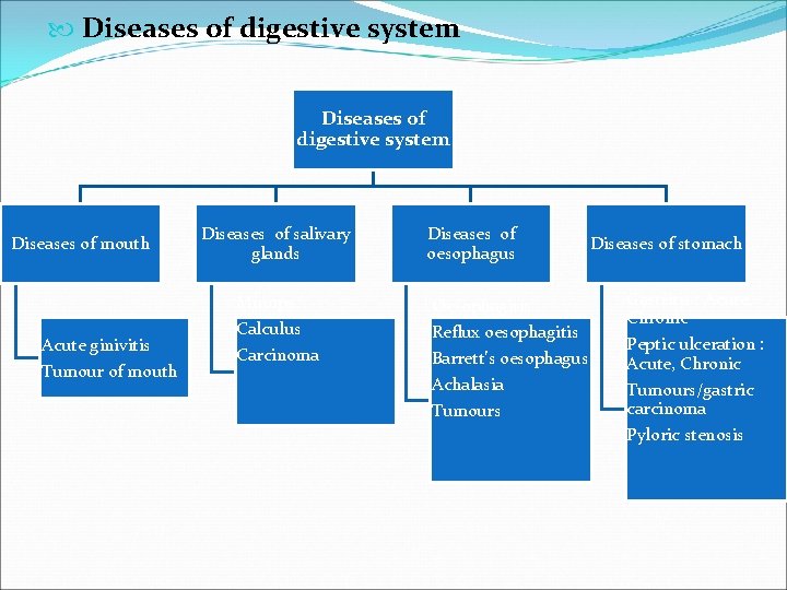  Diseases of digestive system Diseases of mouth Acute ginivitis Tumour of mouth Diseases
