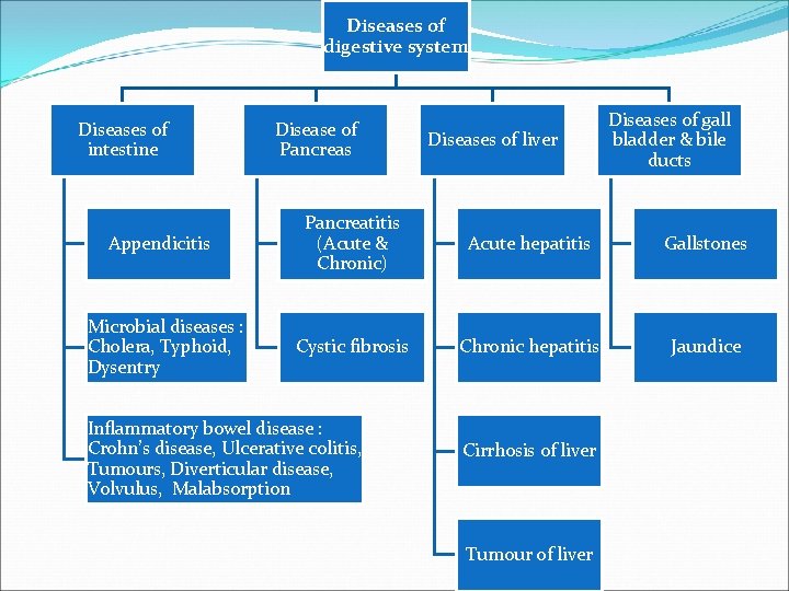 Diseases of digestive system Diseases of intestine Appendicitis Microbial diseases : Cholera, Typhoid, Dysentry