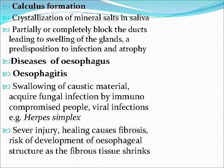  Calculus formation Crystallization of mineral salts in saliva Partially or completely block the