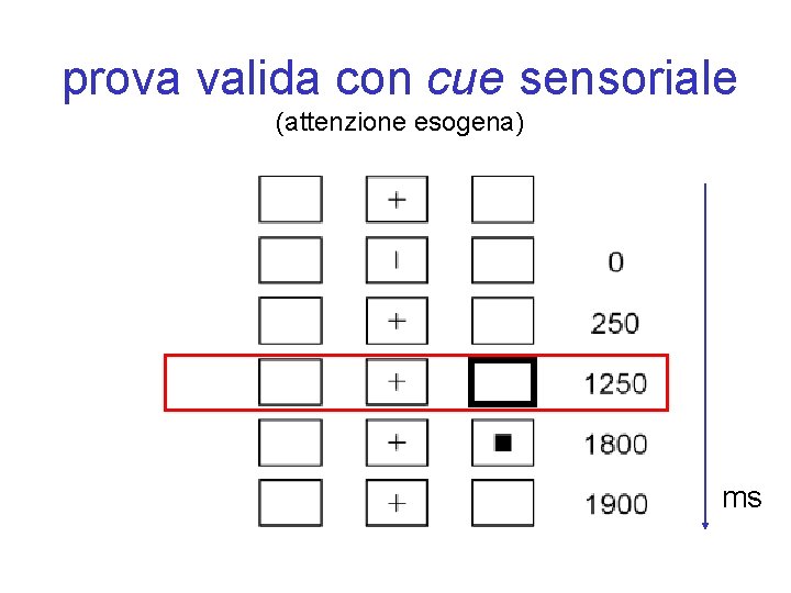 prova valida con cue sensoriale (attenzione esogena) ms 