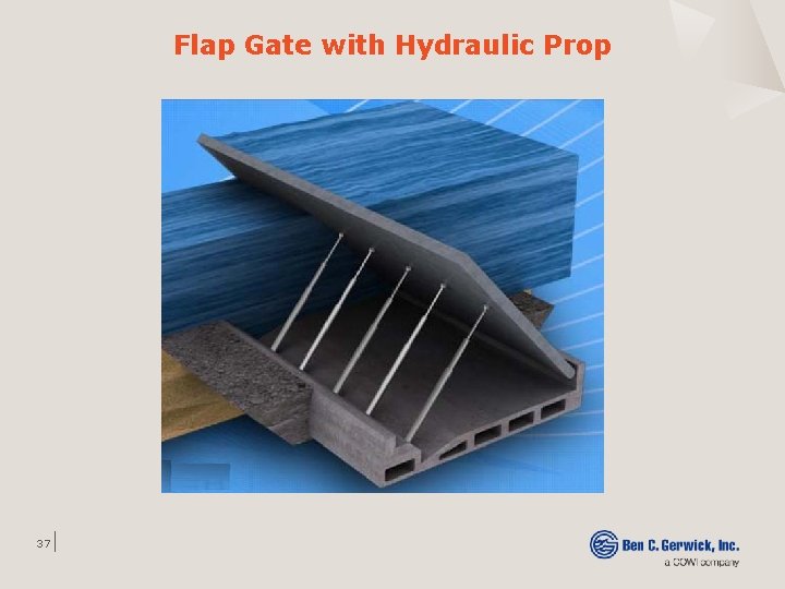 Flap Gate with Hydraulic Prop 37 