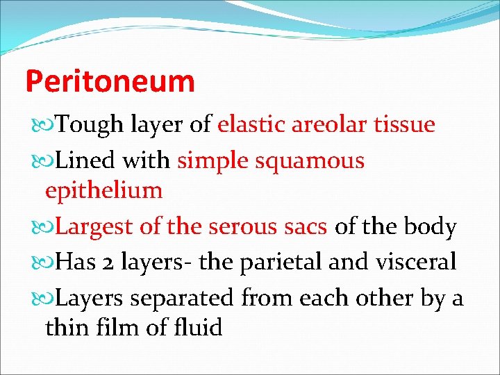 Peritoneum Tough layer of elastic areolar tissue Lined with simple squamous epithelium Largest of