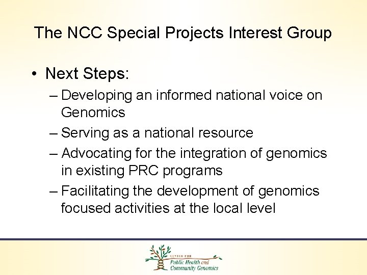 The NCC Special Projects Interest Group • Next Steps: – Developing an informed national