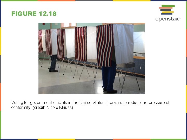 FIGURE 12. 18 Voting for government officials in the United States is private to