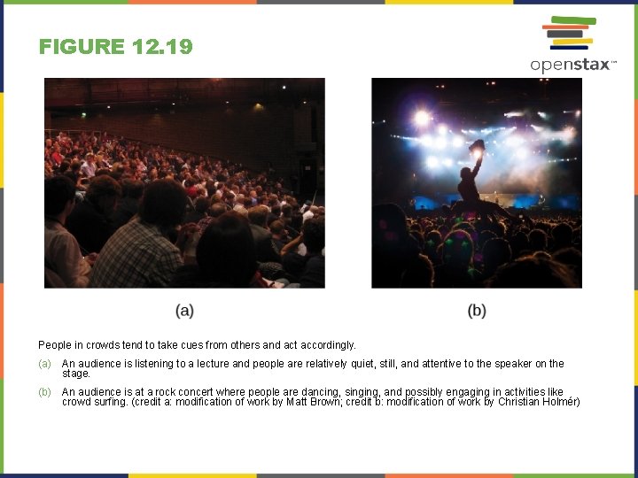 FIGURE 12. 19 People in crowds tend to take cues from others and act