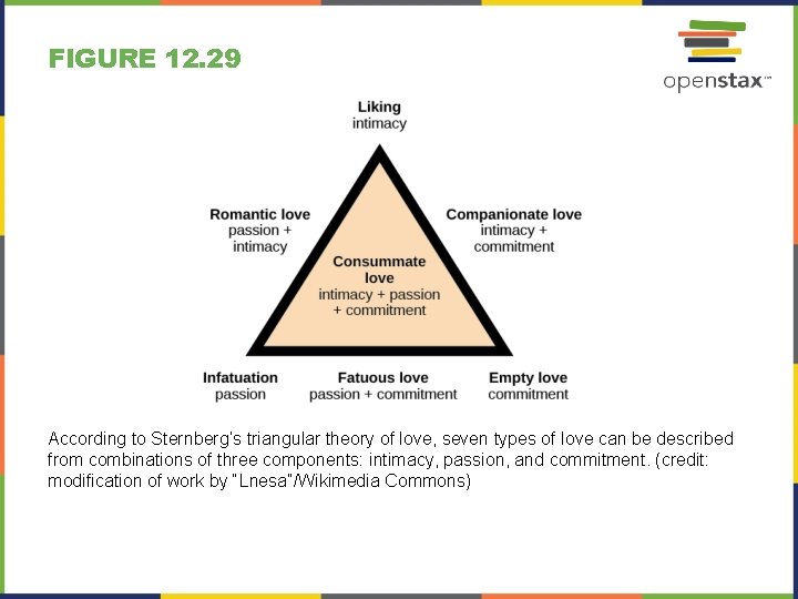 FIGURE 12. 29 According to Sternberg’s triangular theory of love, seven types of love