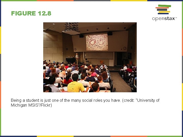 FIGURE 12. 8 Being a student is just one of the many social roles