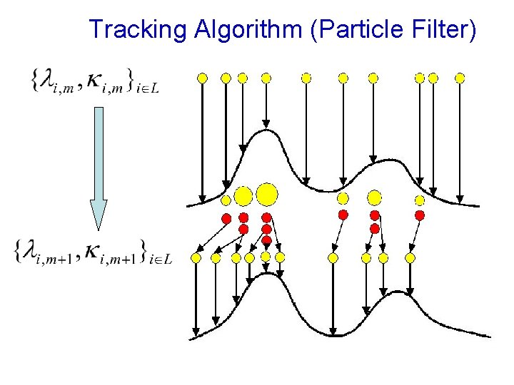 Tracking Algorithm (Particle Filter) 