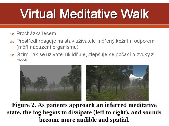 Virtual Meditative Walk Procházka lesem Prostředí reaguje na stav uživatele měřený kožním odporem (měří