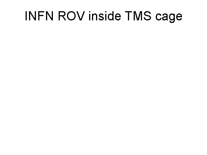 INFN ROV inside TMS cage 