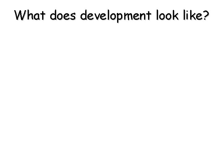 What does development look like? What does development look like?