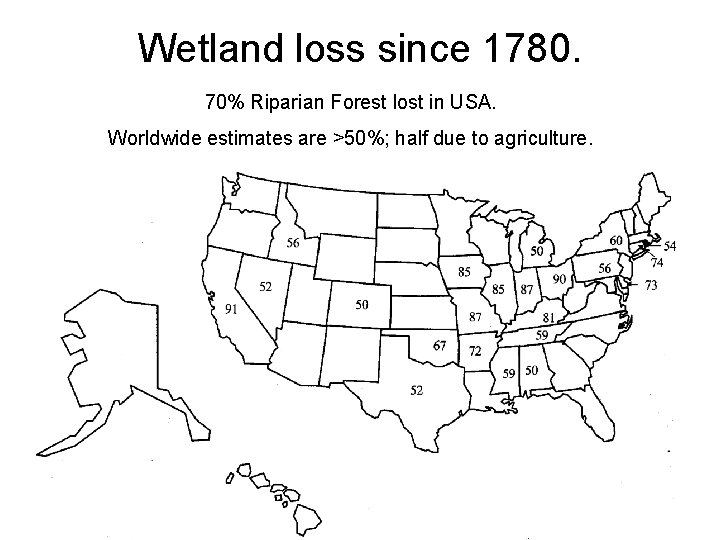 Wetland loss since 1780. 70% Riparian Forest lost in USA. Worldwide estimates are >50%;