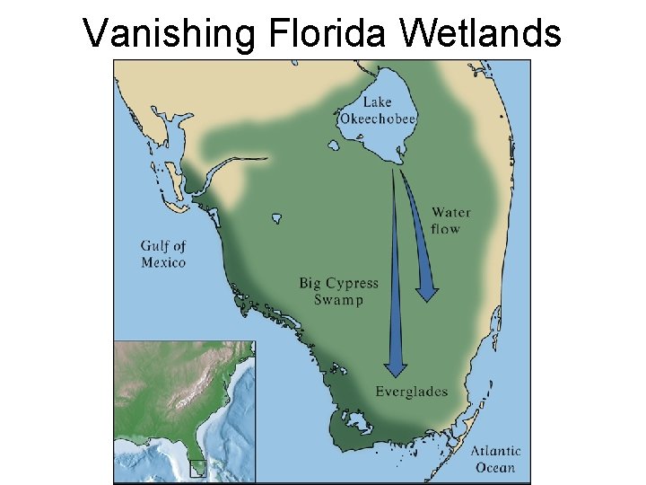 Vanishing Florida Wetlands 