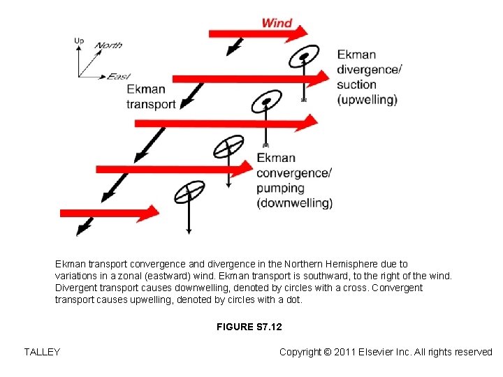 Ekman transport convergence and divergence in the Northern Hemisphere due to variations in a