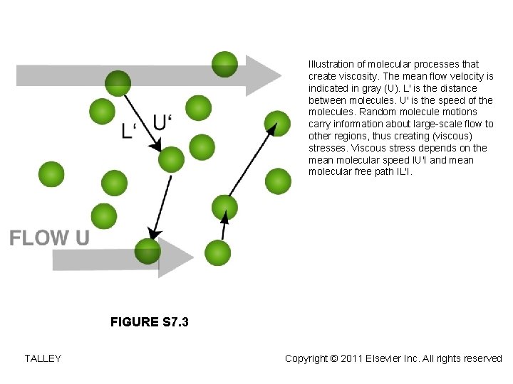 Illustration of molecular processes that create viscosity. The mean flow velocity is indicated in