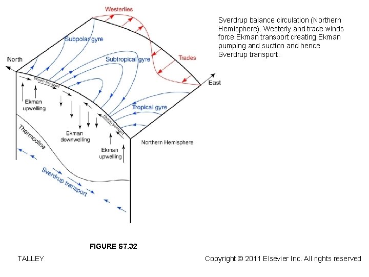 Sverdrup balance circulation (Northern Hemisphere). Westerly and trade winds force Ekman transport creating Ekman