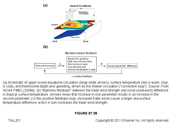 (a) Schematic of upper ocean equatorial circulation (large white arrows), surface temperature (red is