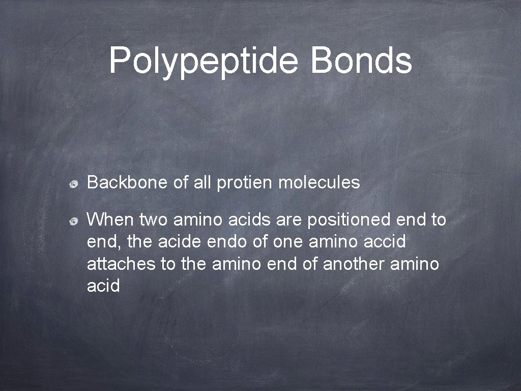 Polypeptide Bonds Backbone of all protien molecules When two amino acids are positioned end