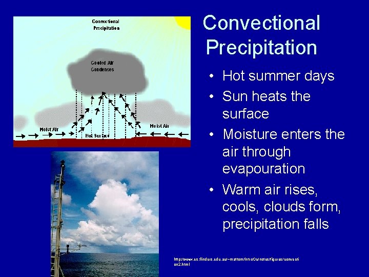 Convectional Precipitation • Hot summer days • Sun heats the surface • Moisture enters