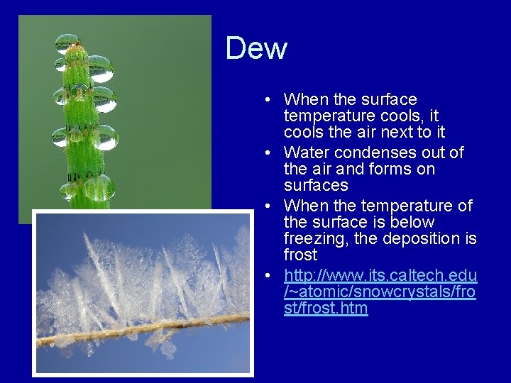 Dew • When the surface temperature cools, it cools the air next to it