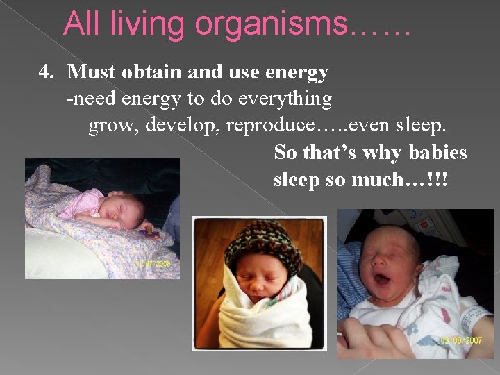 All living organisms…… 4. Must obtain and use energy -need energy to do everything