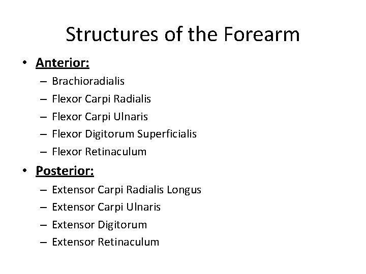 Structures of the Forearm • Anterior: – – – Brachioradialis Flexor Carpi Radialis Flexor