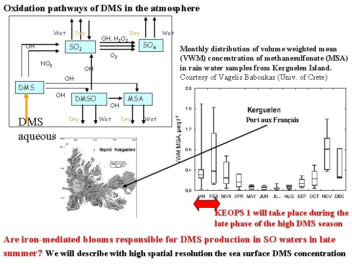 Oxidation pathways of DMS in the atmosphere Wet Dry SO 2 OH NO 3