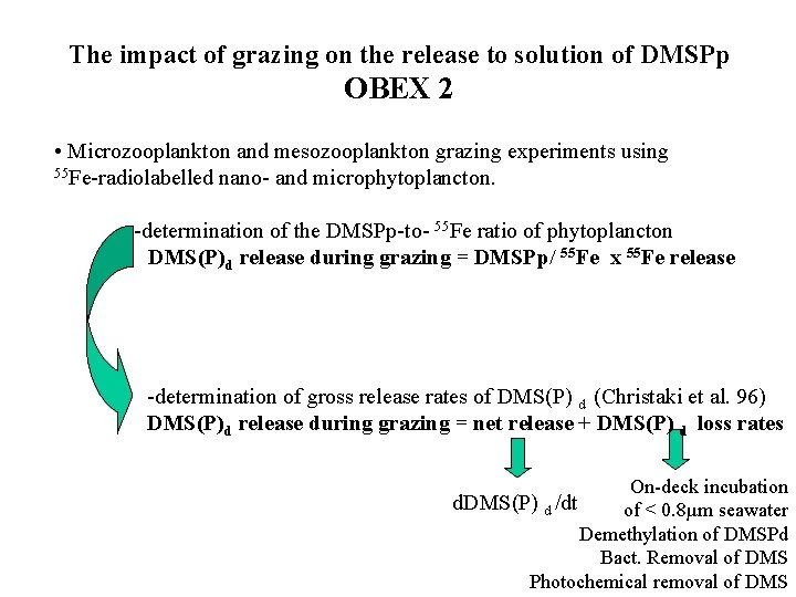The impact of grazing on the release to solution of DMSPp OBEX 2 •