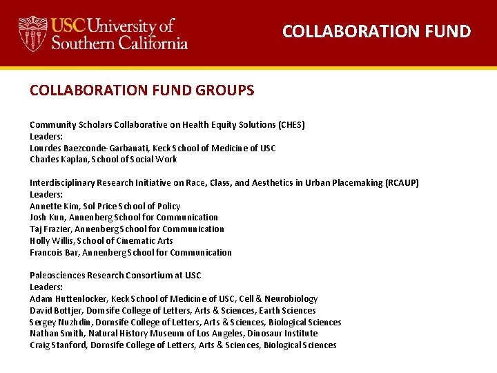COLLABORATION FUND GROUPS Community Scholars Collaborative on Health Equity Solutions (CHES) Leaders: Lourdes Baezconde-Garbanati,