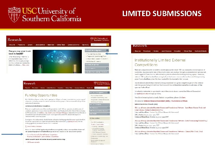  LIMITED SUBMISSIONS 
