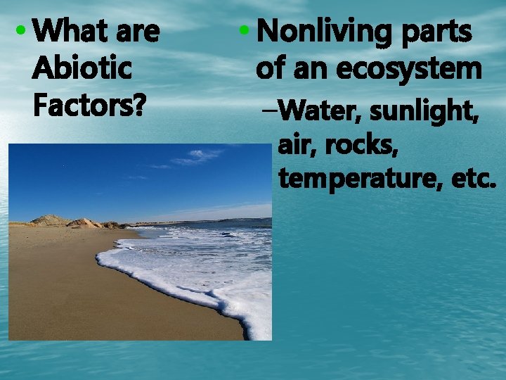  • What are Abiotic Factors? • Nonliving parts of an ecosystem –Water, sunlight,