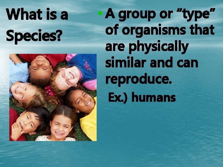 What is a Species? • A group or “type” of organisms that are physically