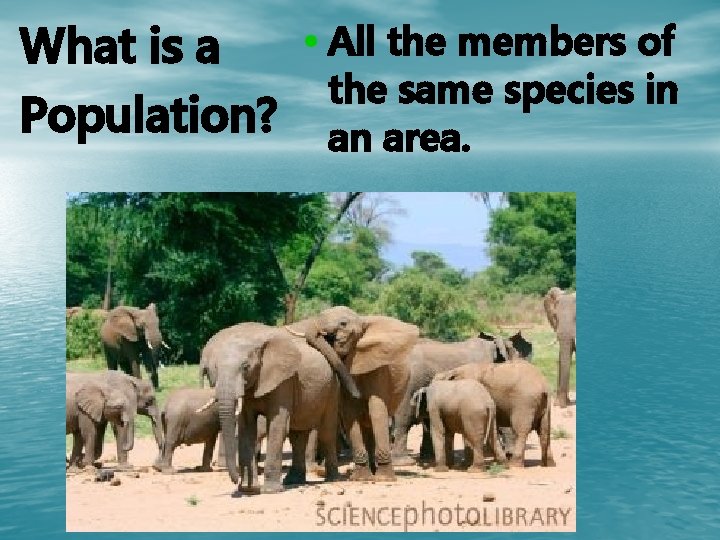  • All the members of What is a the same species in Population?