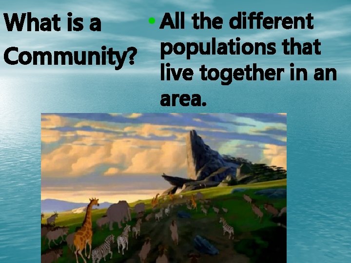  • All the different What is a populations that Community? live together in
