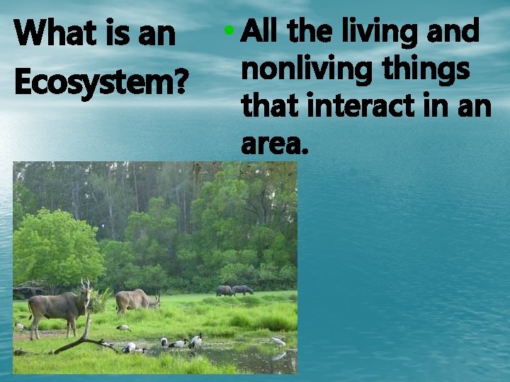 What is an • All the living and nonliving things Ecosystem? that interact in